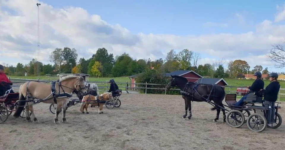 Sportkörning på Dyltabruk Ryttarförenings anläggning – hästar och kuskar på banan